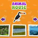 Animal House Game